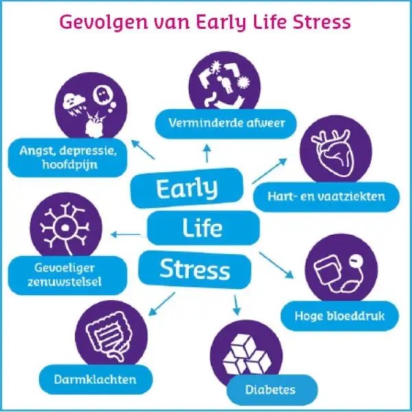 Gevolgen van early life stress
