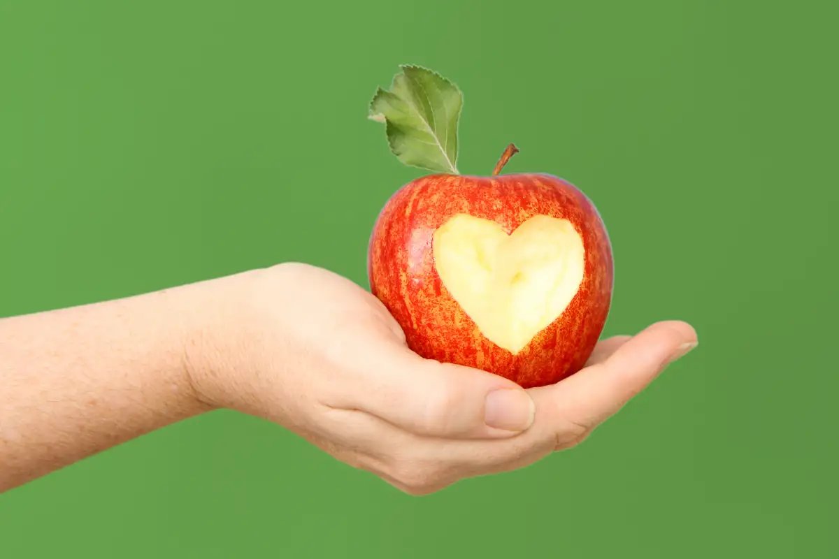 Vitaliteitsweek