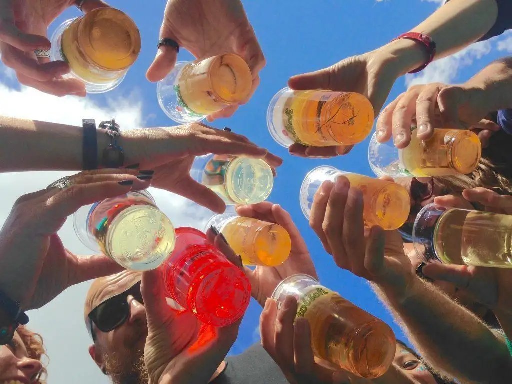 Bieralcoholtienerdrankfeestcarnaval